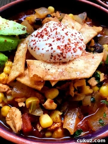 bowl of chunky chicken tortilla soup.