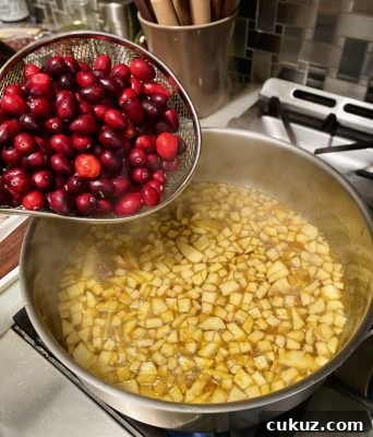 Cranberry Apple Sauce with Marsala in process