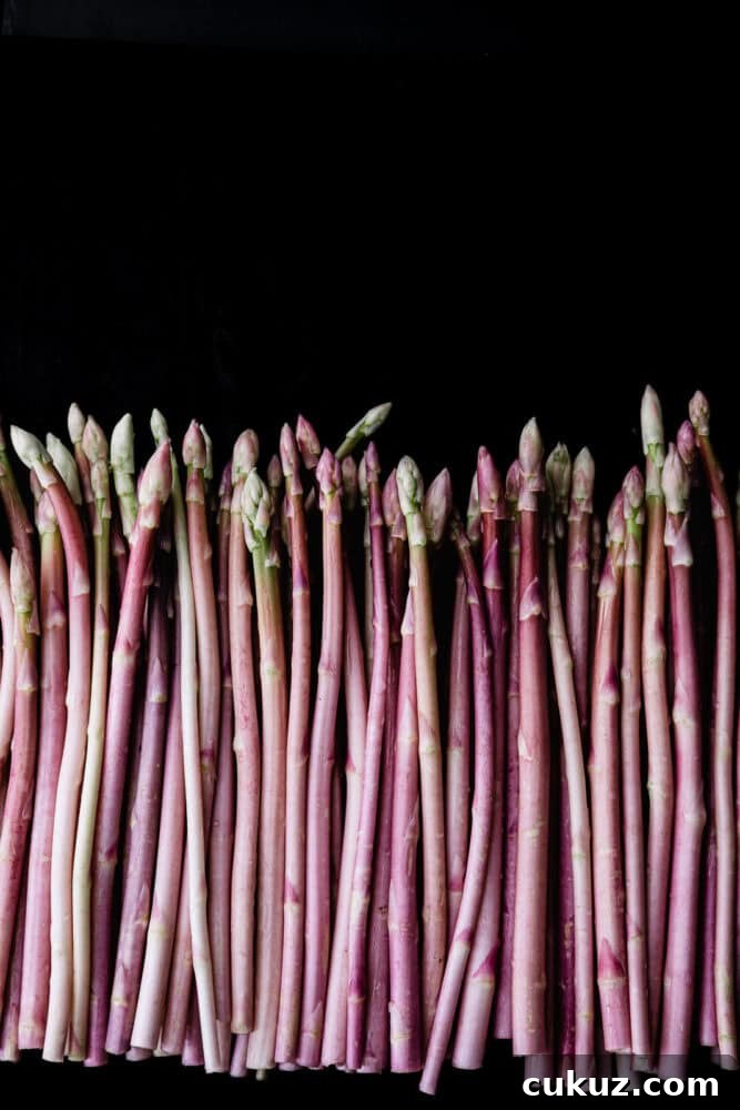 Dense row of pink asparagus spears standing upright against a dark background, wall-to-wall color, light green-tipped