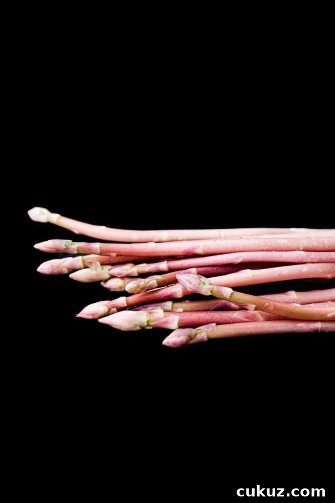 Pink asparagus spears fanned horizontally across a black background, tips pointing right, close crop showing texture and color