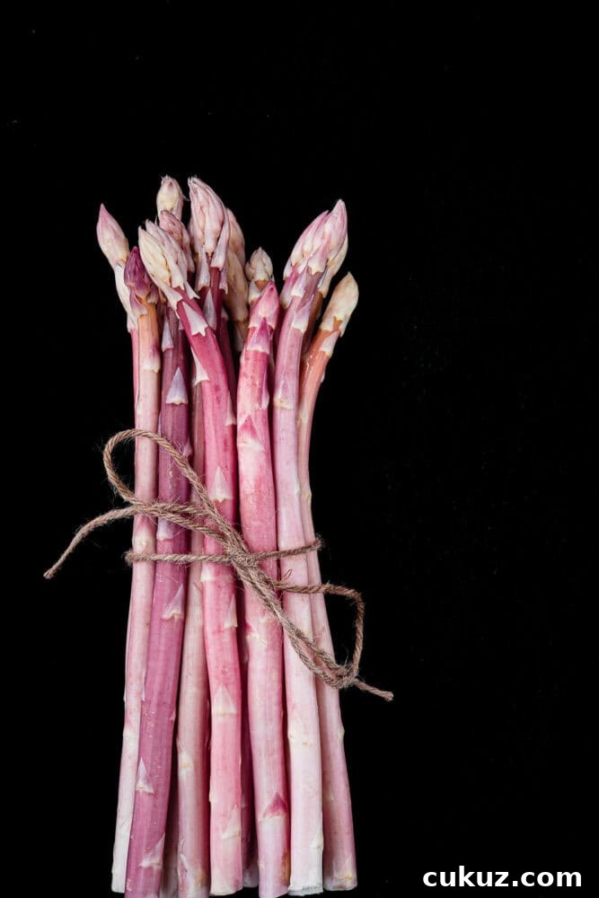 Bundled pink asparagus spears tied with twine, standing upright against a black background