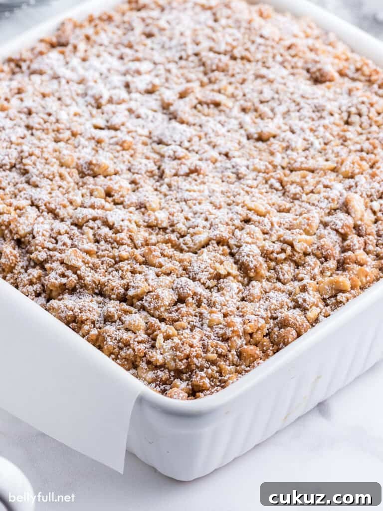 coffee cake with streusel topping dusted with powdered sugar in baking dish