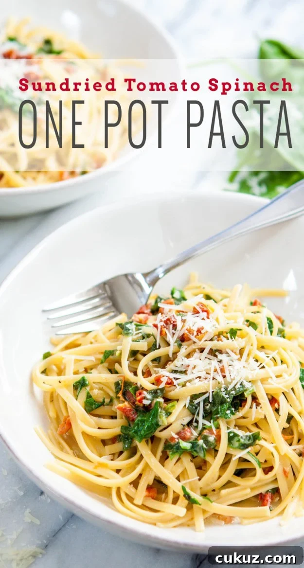 One Pot Pasta: Sundried Tomato Spinach