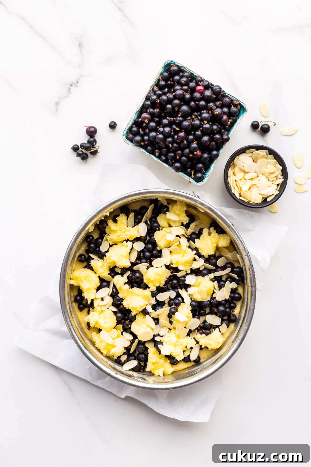 Assembling black currant cake topping cake batter in springform pan with berries, sugar paste, and sliced almonds