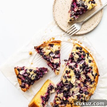 Black currant cake sliced into pieces with one on a speckled ceramic plate with a fork