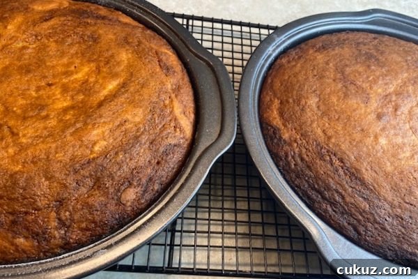 Purple Ribbon Banana Cake Recipe with Moist Banana Frosting 6 img 2117 6