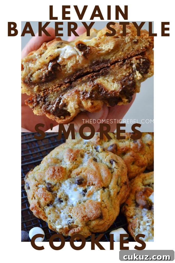 levain bakery-style s'mores cookies photo collage