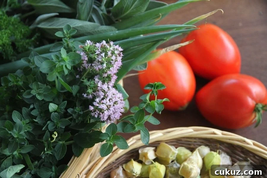 A basket of ground cherries, red tomatoes and bundles of fresh herbs