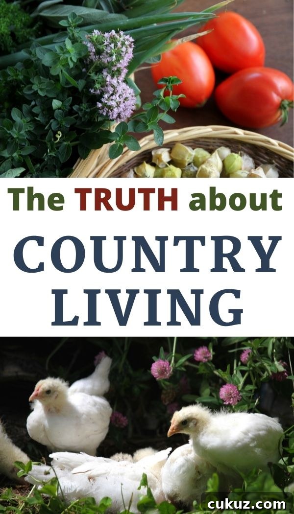 The country lifestyle is beautiful. But it's also raw and real. Here's what you should know before moving to the countryside!