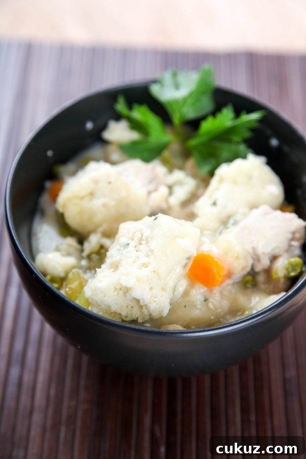 a black bowl filled with  instant pot chicken and dumplings garnished with fresh parsley. 