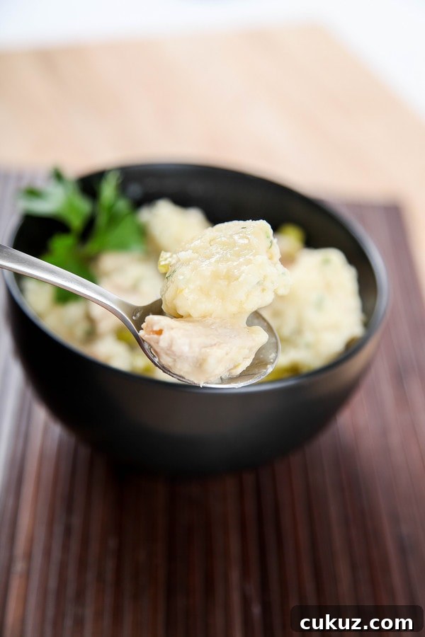 a spoon lifting out a bite of chicken and dumplings.