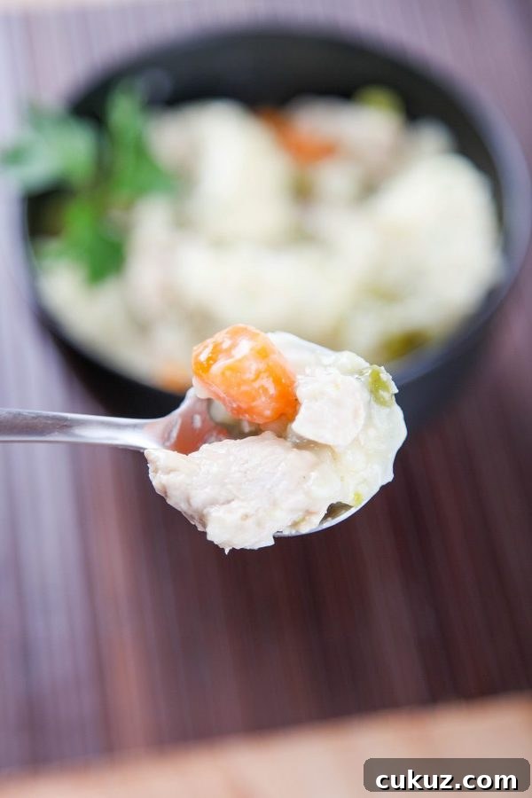 a spoon holding chicken and dumplings with carrots and celery with a bowl blurred in the background.