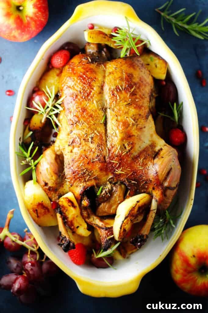 Overhead of roasted duck stuffed with apples