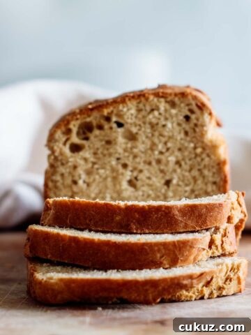 no-knead sandwich bread crumb