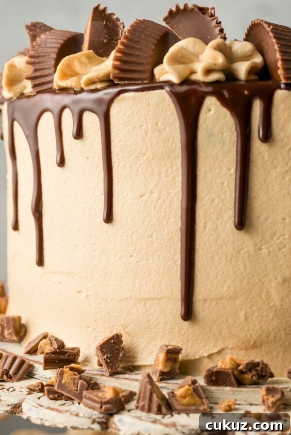 Chocolate cake covered in peanut butter frosting with a chocolate ganache drizzle down the sides.