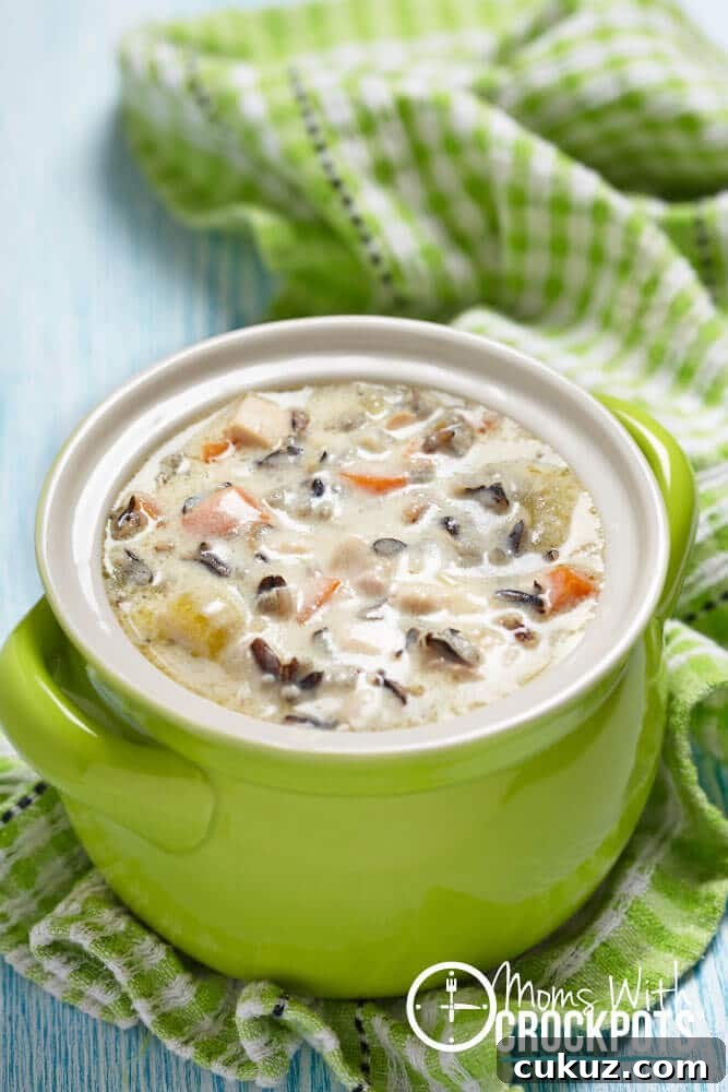 Crockpot Chicken Wild Rice Soup in a bowl