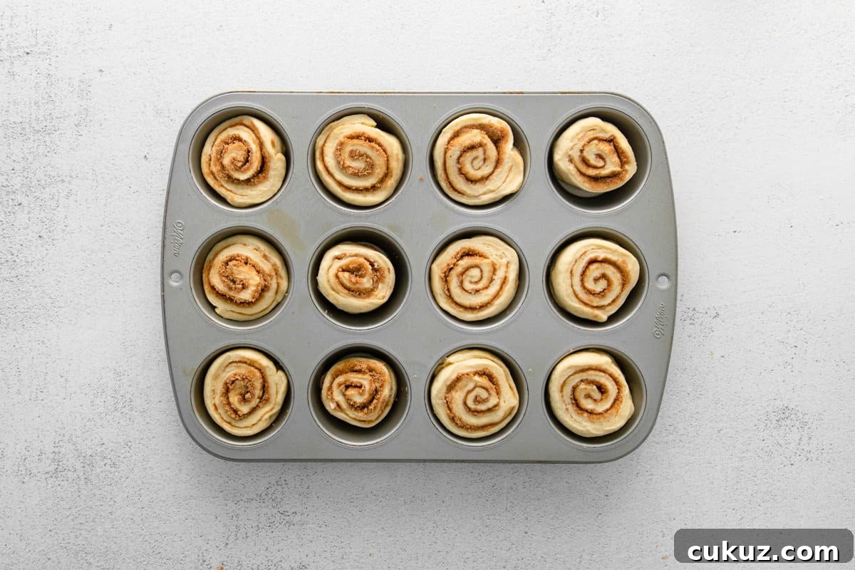 Cinnamon Roll Muffins: Soft Swirl Muffin Recipe with Cream Cheese Glaze 12 unbaked cinnamon roll muffins in a muffin tin.