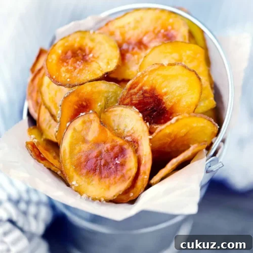 Top Side Dishes to Serve with Philly Cheesesteaks 26 img 24310 25