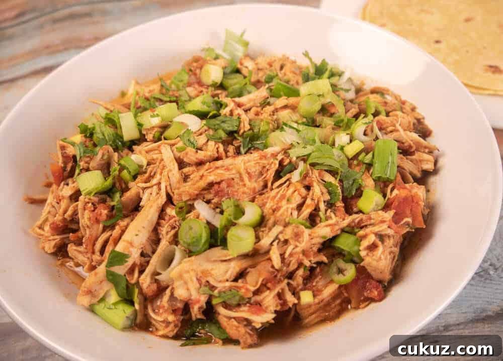 Salsa Chicken Closeup