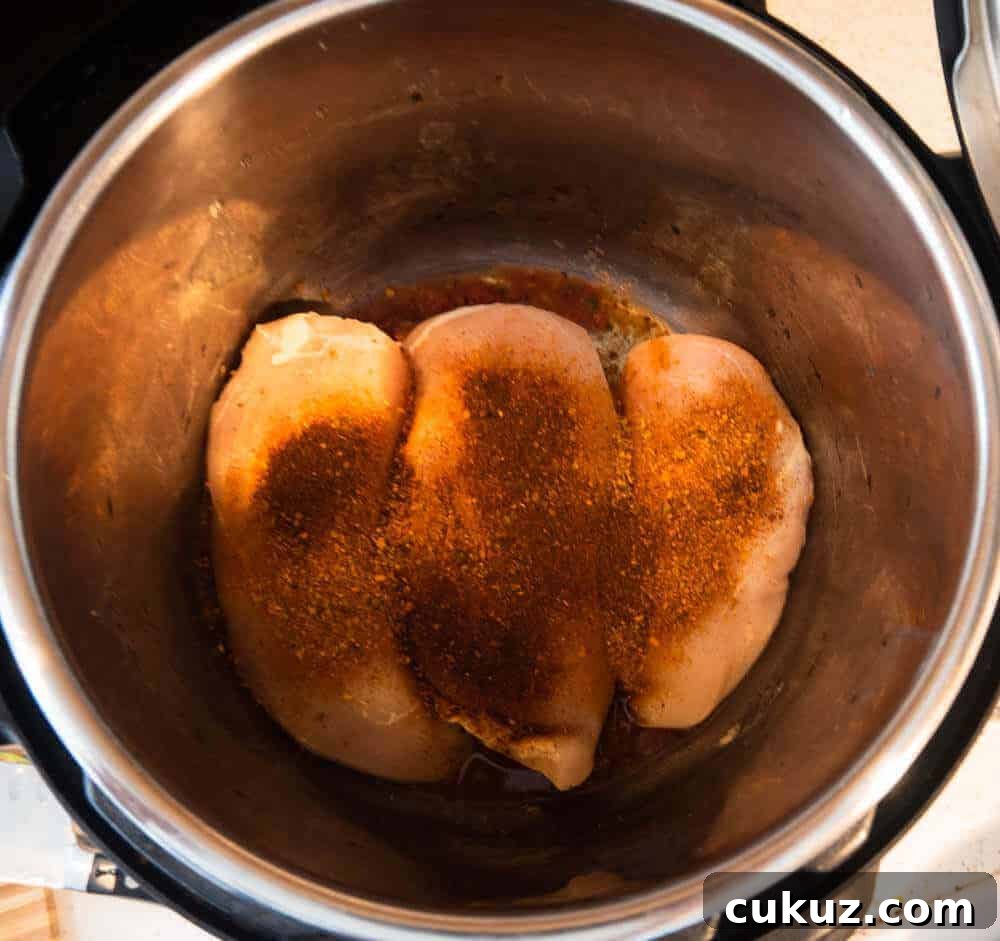 seasoned salsa chicken in the instant pot