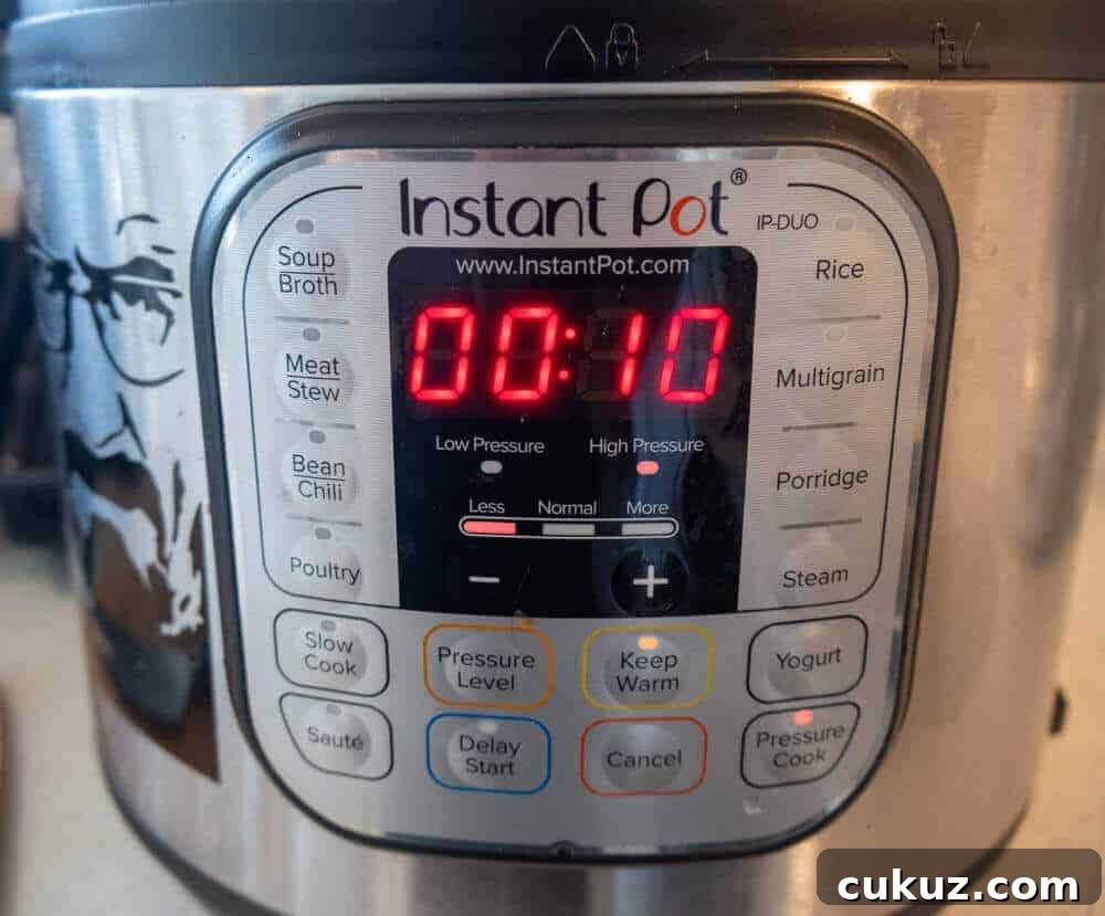 Instant Pot cooking time 10 minutes