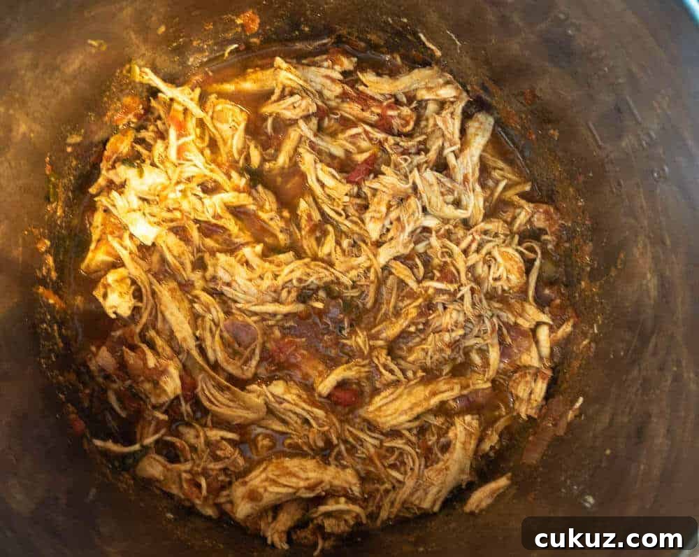 Pulled Salsa Chicken in the Instant Pot