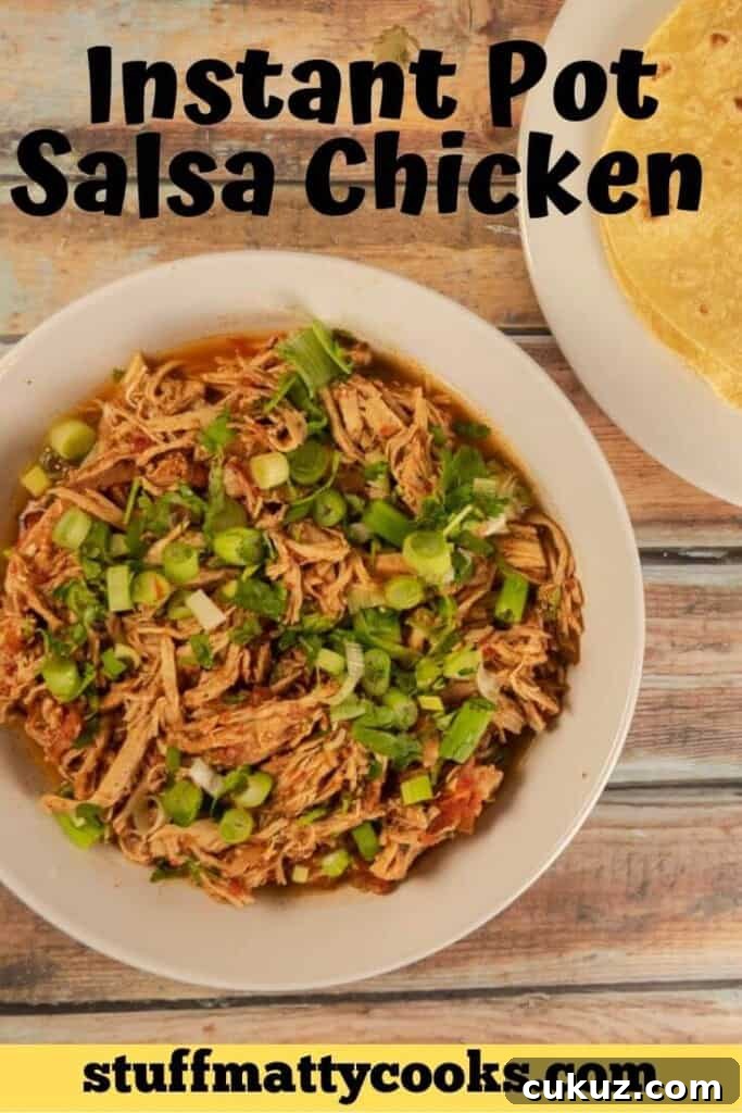 Instant Pot Salsa Chicken Pin