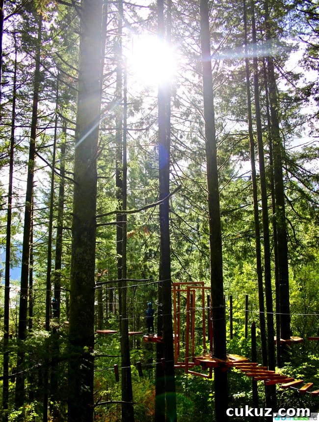 Skamania Lodge Aerial Park. Travel stories & hotel reviews on UrbanBlissLife.com