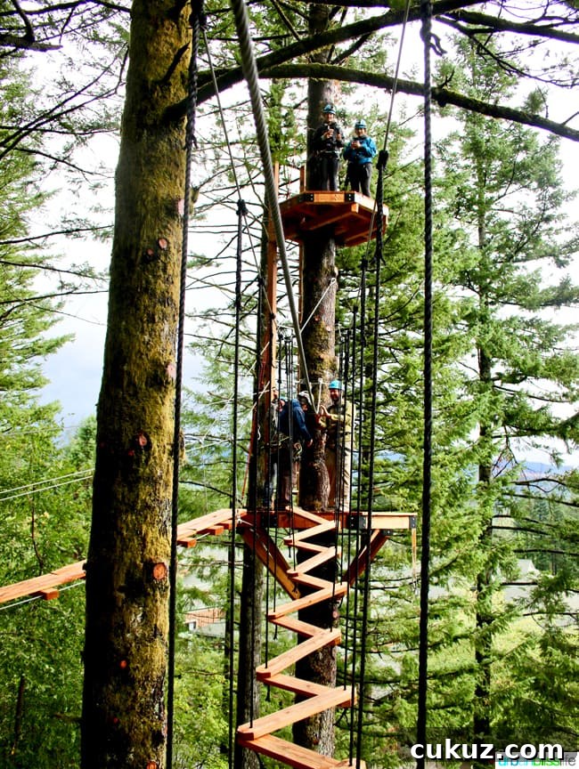 Skamania Lodge Aerial Park. Travel stories & hotel reviews on UrbanBlissLife.com