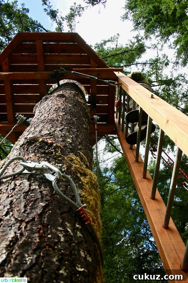 Skamania Lodge Aerial Park. Travel stories & hotel reviews on UrbanBlissLife.com