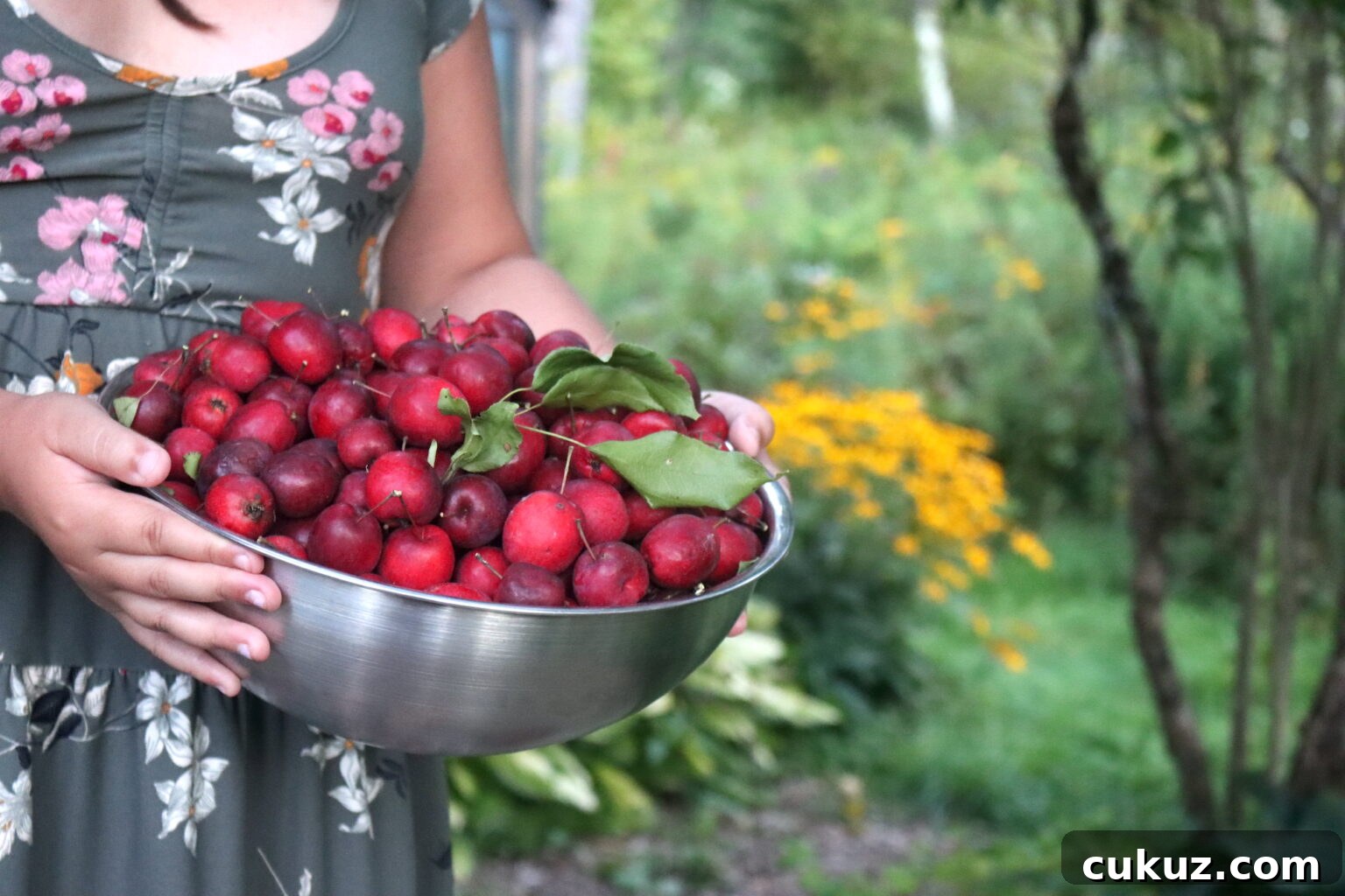 Crabapples