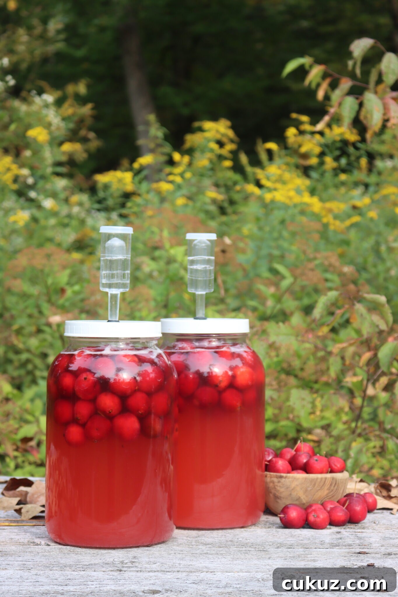 Crabapple Wine