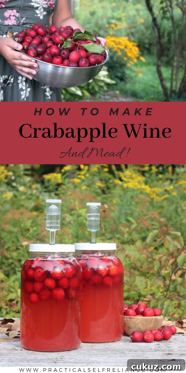 How to Make Crabapple Wine