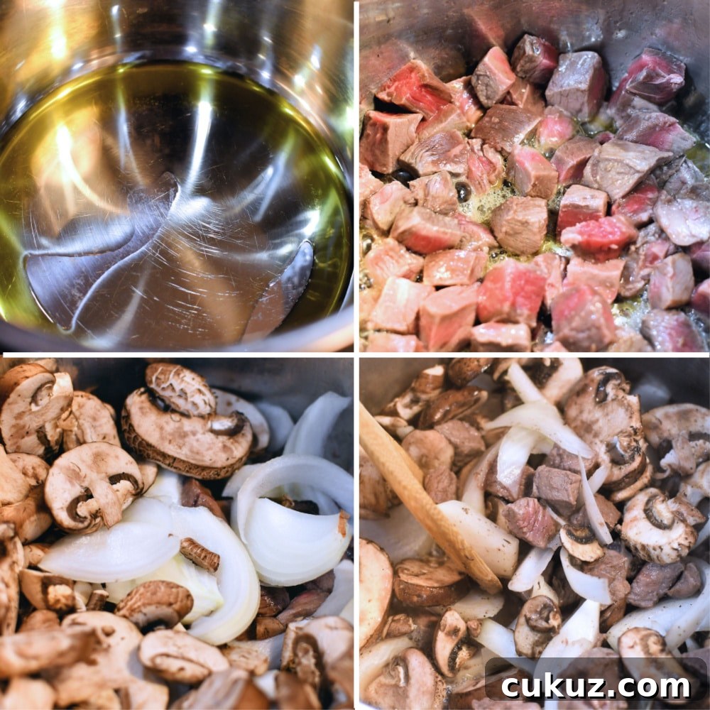 24Bite: Steak and Mushrooms Soup Instant Pot Recipe by Christian Guzman