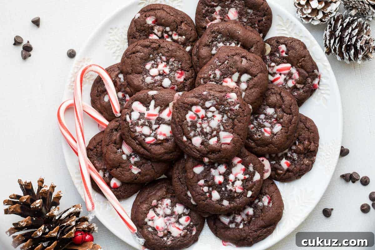 A plate of chocolate peppermint cookies topped with crushed peppermint, surrounded by pinecones, chocolate chips, and two candy canes.
