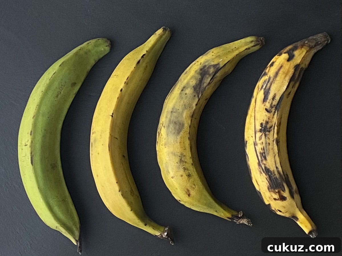 4 different plantains from green to really ripe