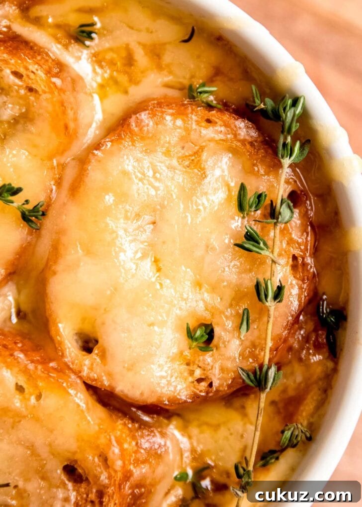 a sprig of fresh thyme garnishing a bowl of french onion chicken soup with toasted bread and melted cheese
