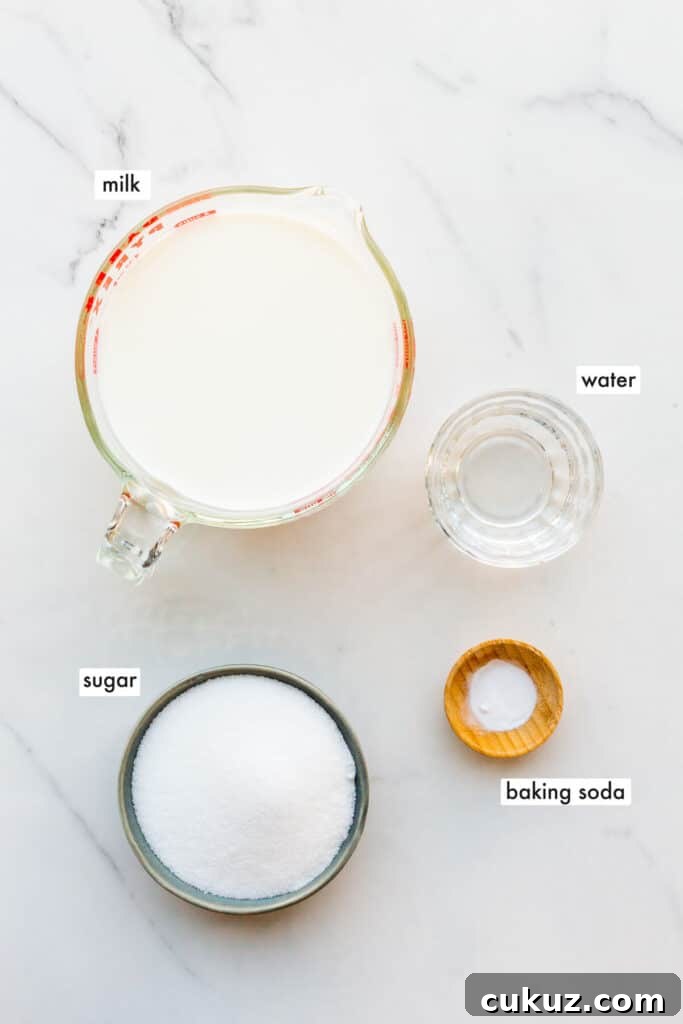 Ingredients to make homemade dulce de leche from scratch, also called milk jam.