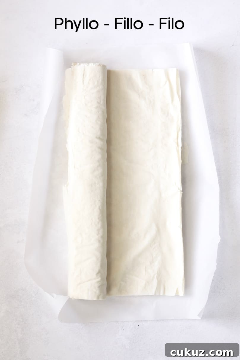 Overhead shot of phyllo/fillo/filo dough