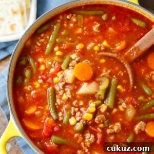 ground turkey vegetable soup recipe