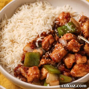 Close up of a plate of Honey Ginger Chicken with rice ready to be eaten.
