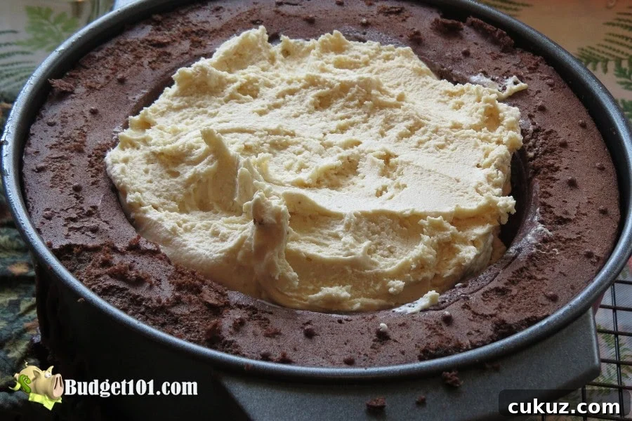 b101-ice-cream-cake-layer