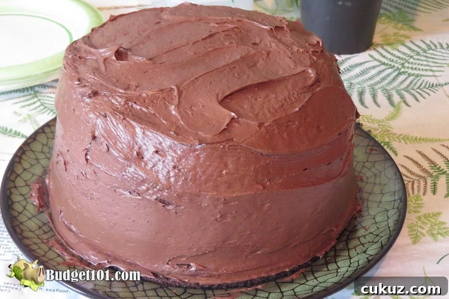 b101-chocolate-peanut-butter-ice-cream-cake