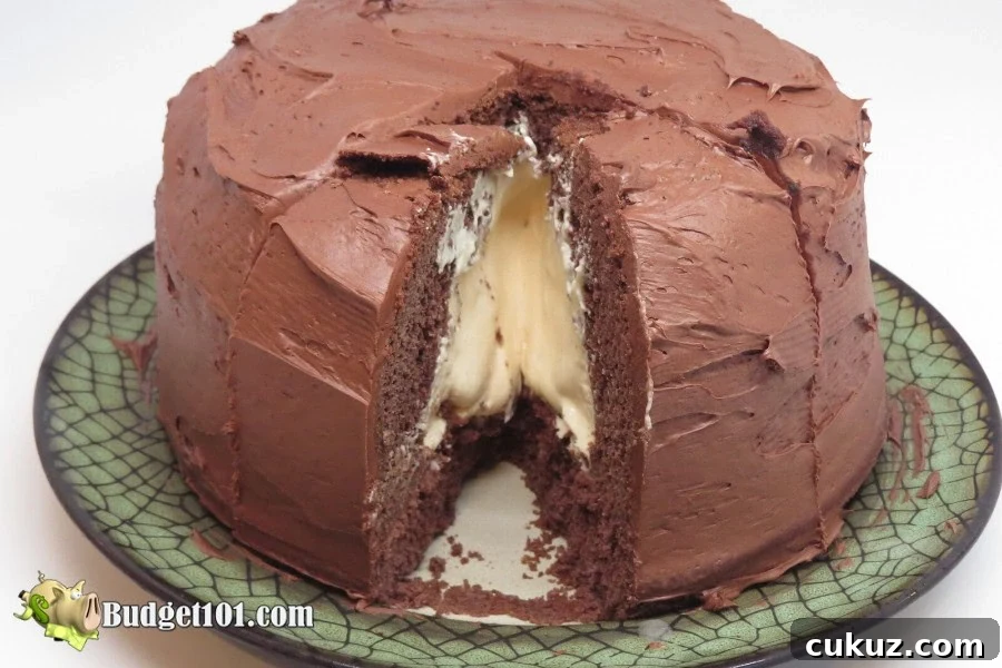 b101-ice-cream-cake-melting