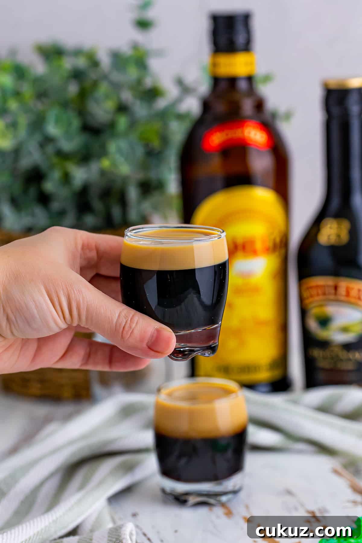 How to Make a Baby Guinness Shot: Creamy Espresso Liqueur Cocktail 8 Baby Guinness held in hand, plant in wicker holder in back ground with alcohol bottles