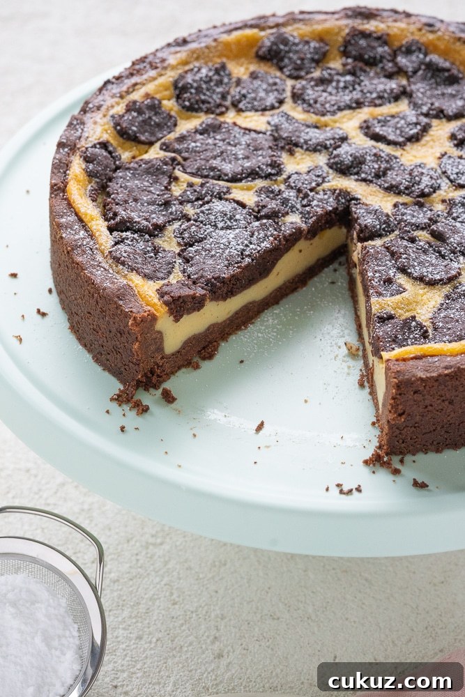 Vegan Russian Plum Cake (Plucked Style) 7 no-eggs-no-butter-plucked-cake