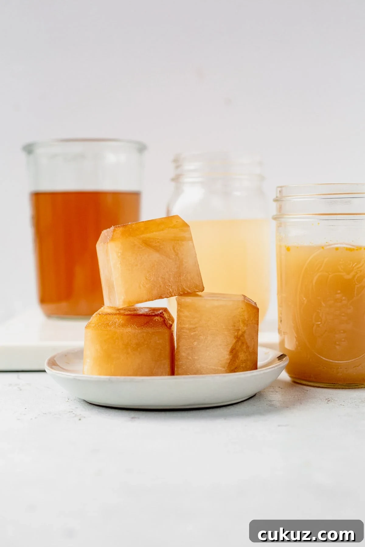 Is Your Chicken Broth Spoiled? Signs to Know Quickly 4 chicken broth in jars and frozen chicken broth ice cubes