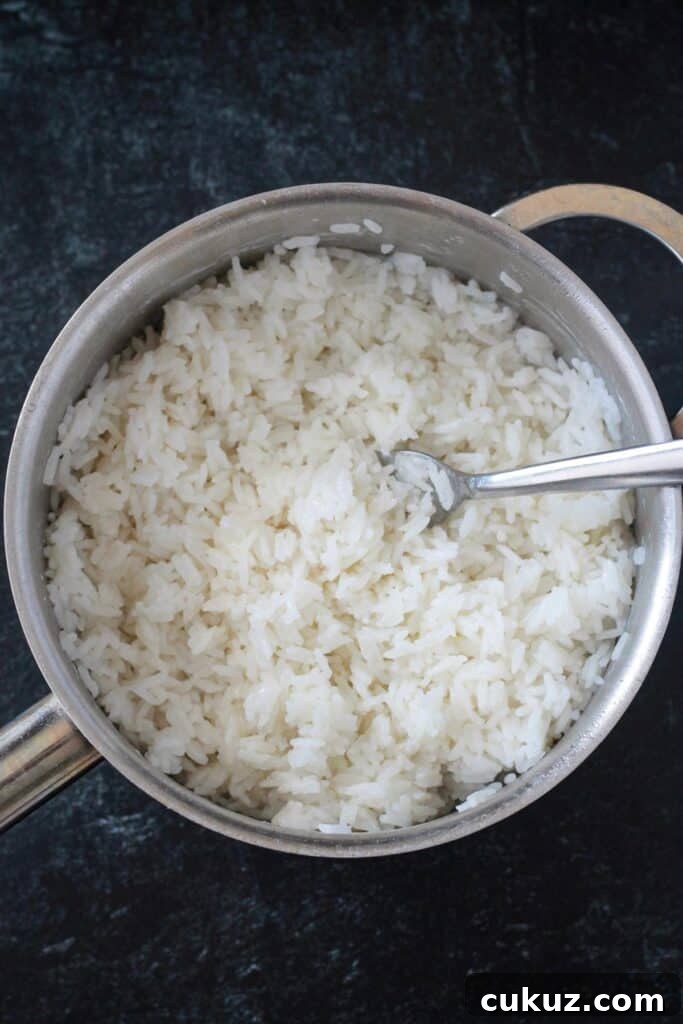 Cooked rice in a pot.