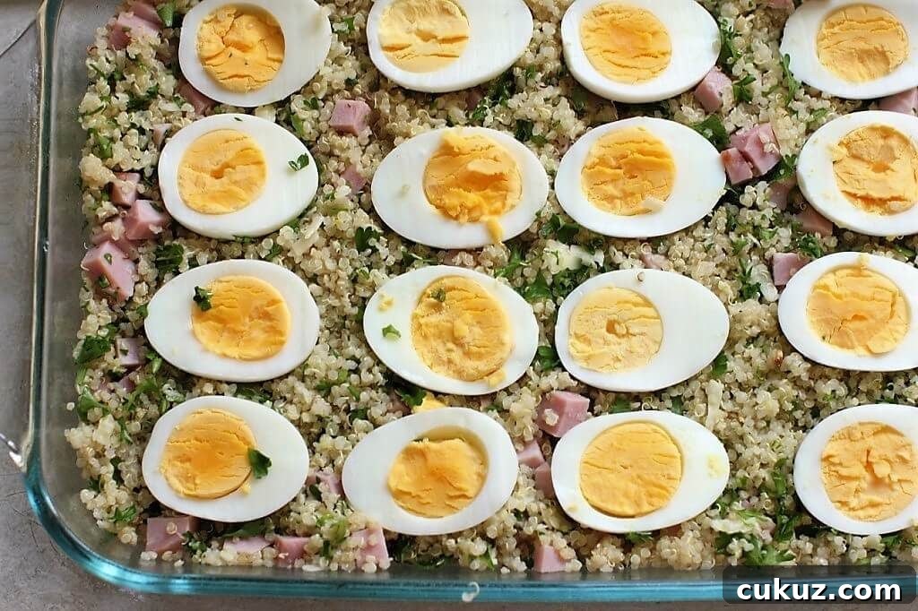 rows of boiled egg halves on the flavoured quinoa for a lovely quinoa bake