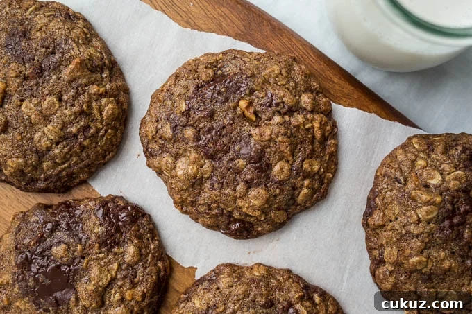 Teff Oatmeal Chocolate Chip Cookies from Alternative Baker (gluten-free) | saltedplains.com